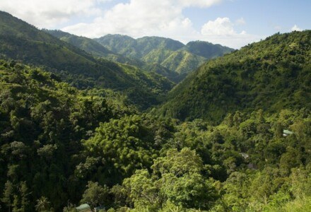 Blue Mountain in Jamaica