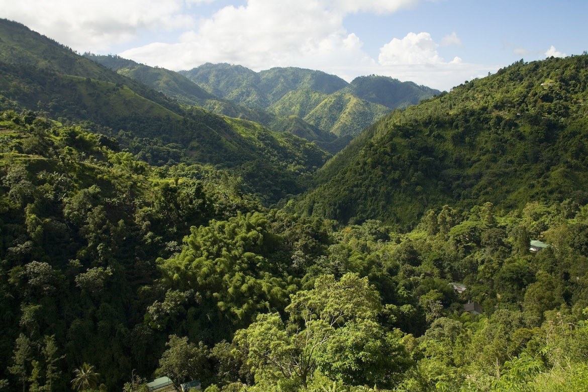 The Blue Mountains in Jamaica