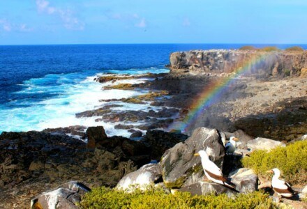 Espanola. galapagos islands rainbow