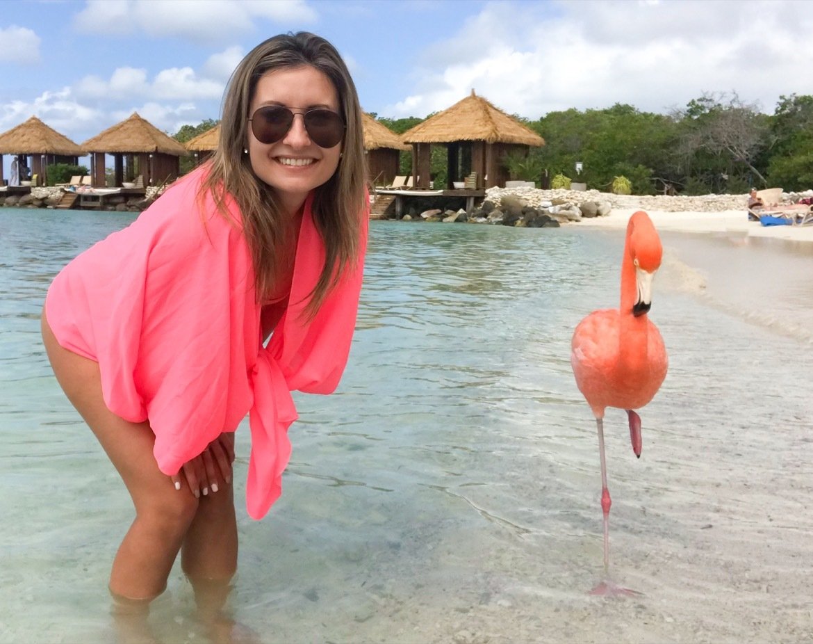 Aruba flamingos on Renaissance Private Island