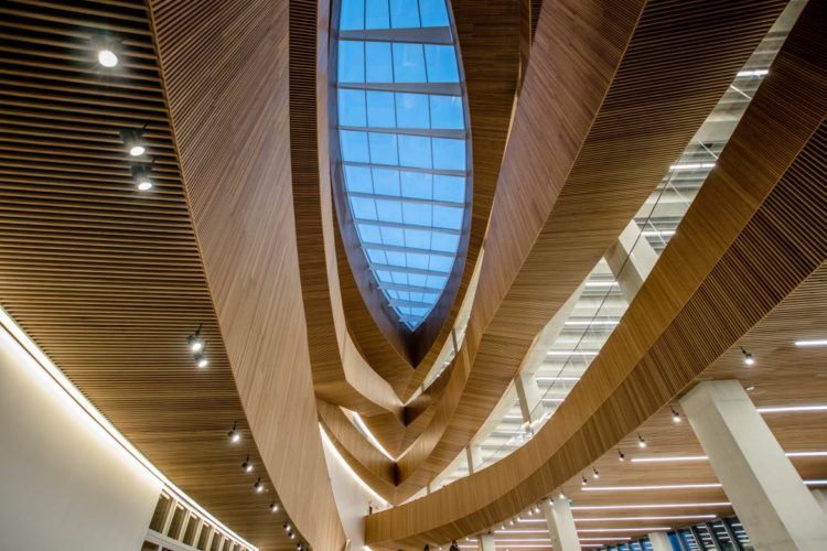 The best spots to take photos in Calgary
