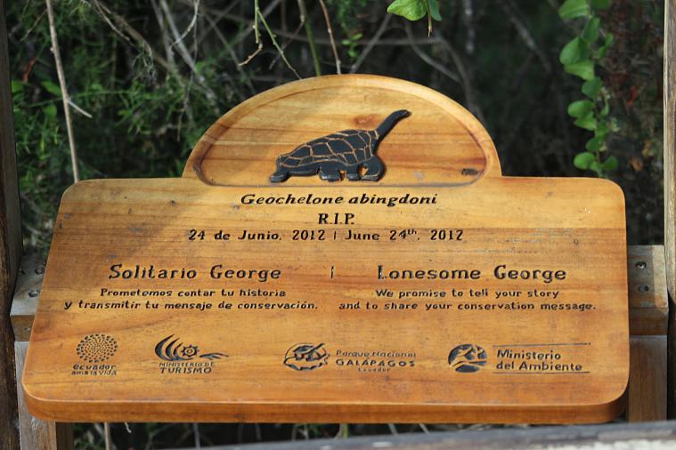 lonesome george galapagos memorial charles darwin
