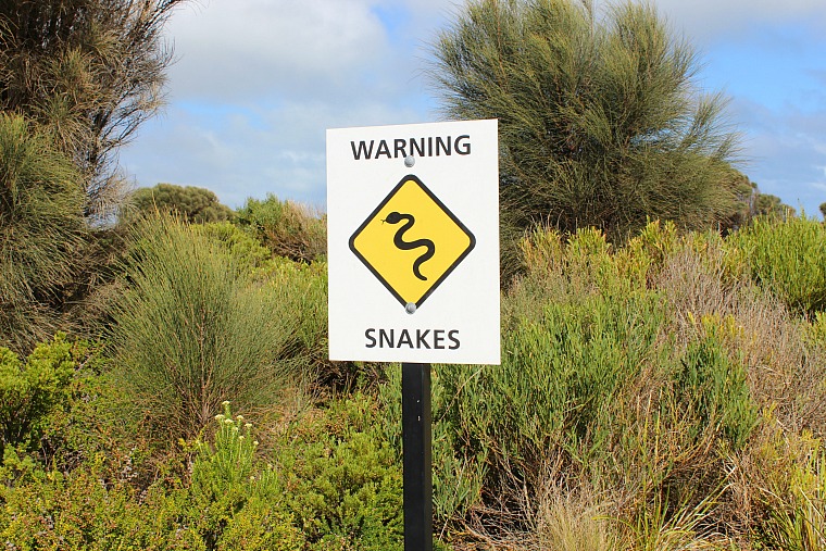 australia-great-ocean-road-snake-sign