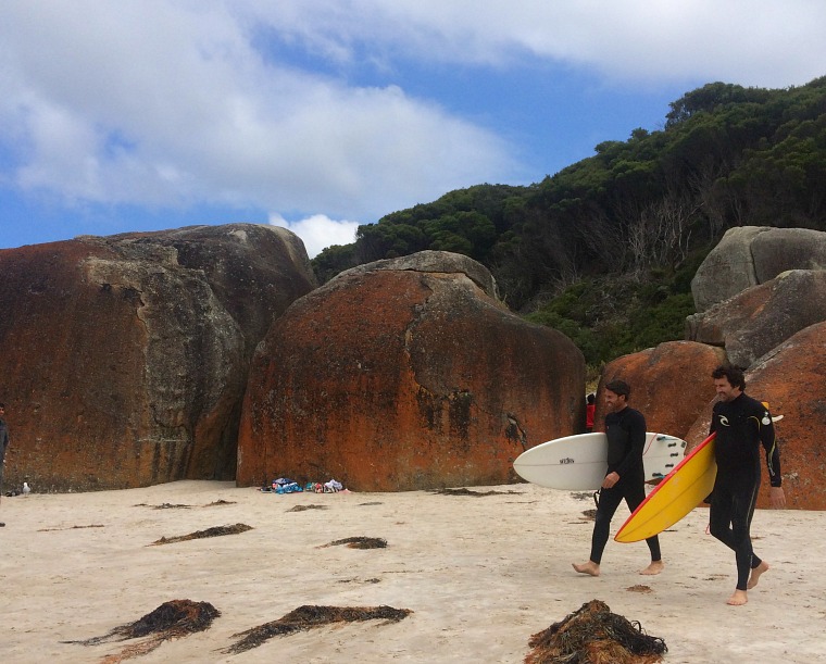 Must see spots in Australia's Wilson’s Promontory National Park