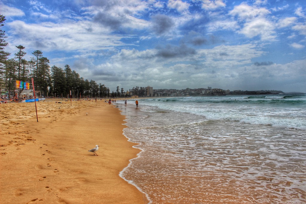 Australia-Sydney-Manly-Beach-landscape