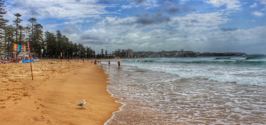 Australia-Sydney-Manly-Beach-landscape