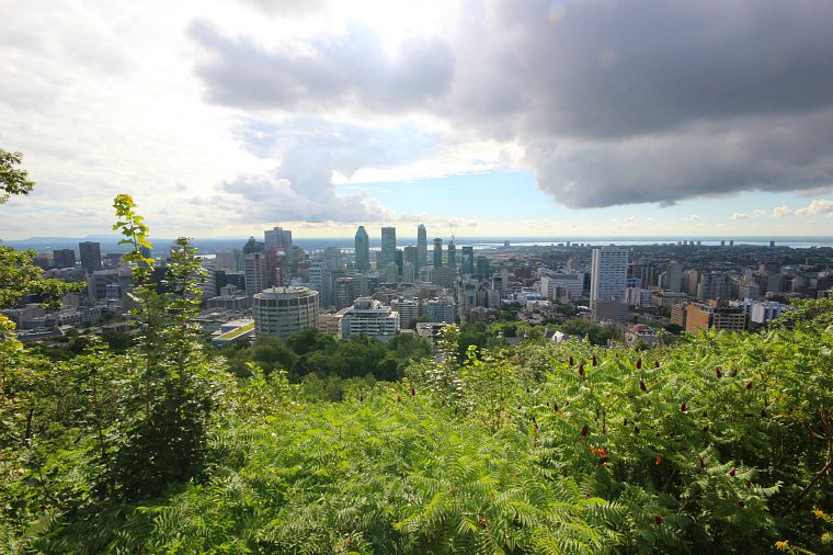 The view of downtown Montreal from Mont-Royal