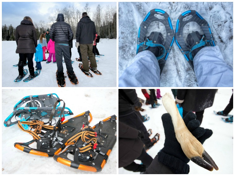 winter activities in jasper, alberta, canada