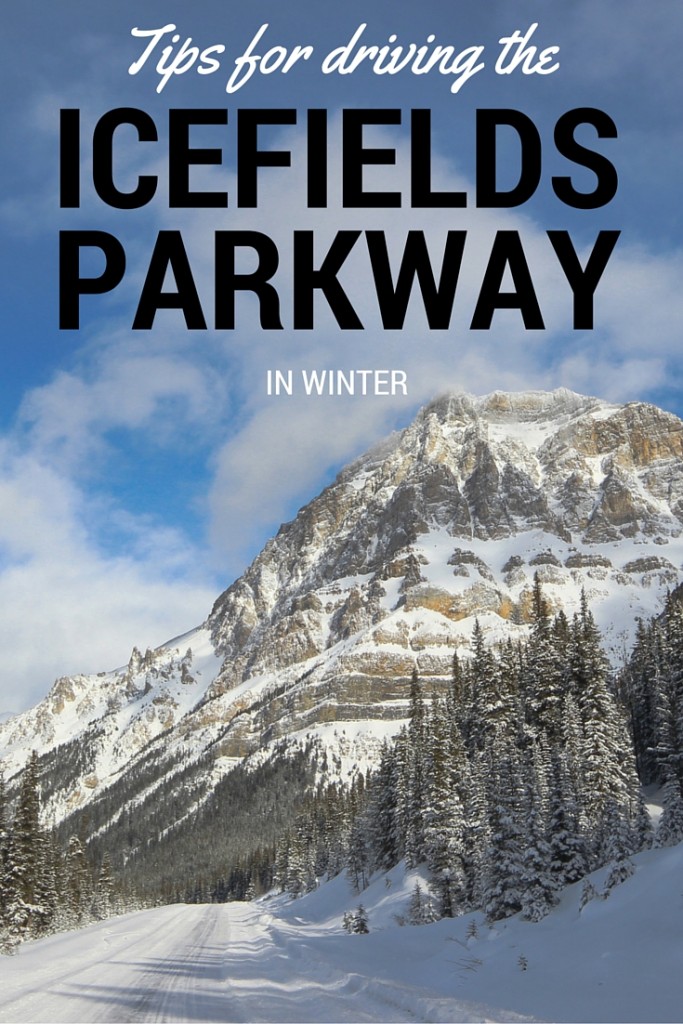 Tips for driving the Icefields Parkway