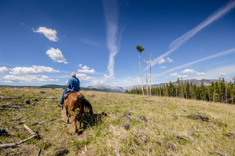 horseback riding sundre alberta