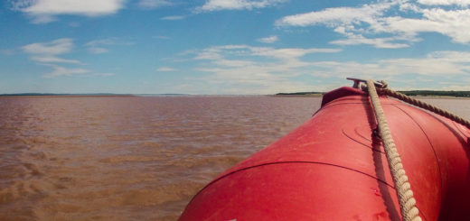 Tidal bore rafting in Nova Scotia, Canada