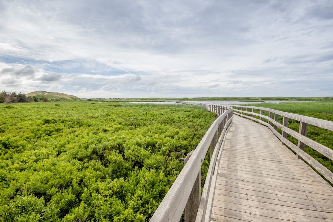 Prince Edward Island PEI best beaches north shore