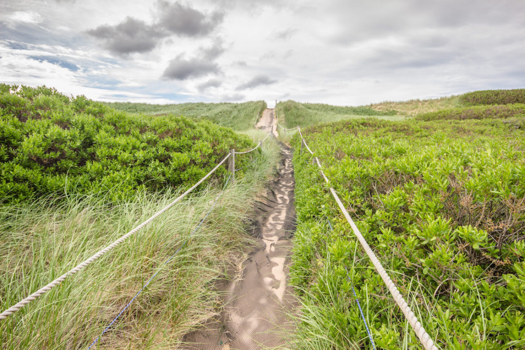 Greenwich Dunes is one of the best Prince Edward Island beaches