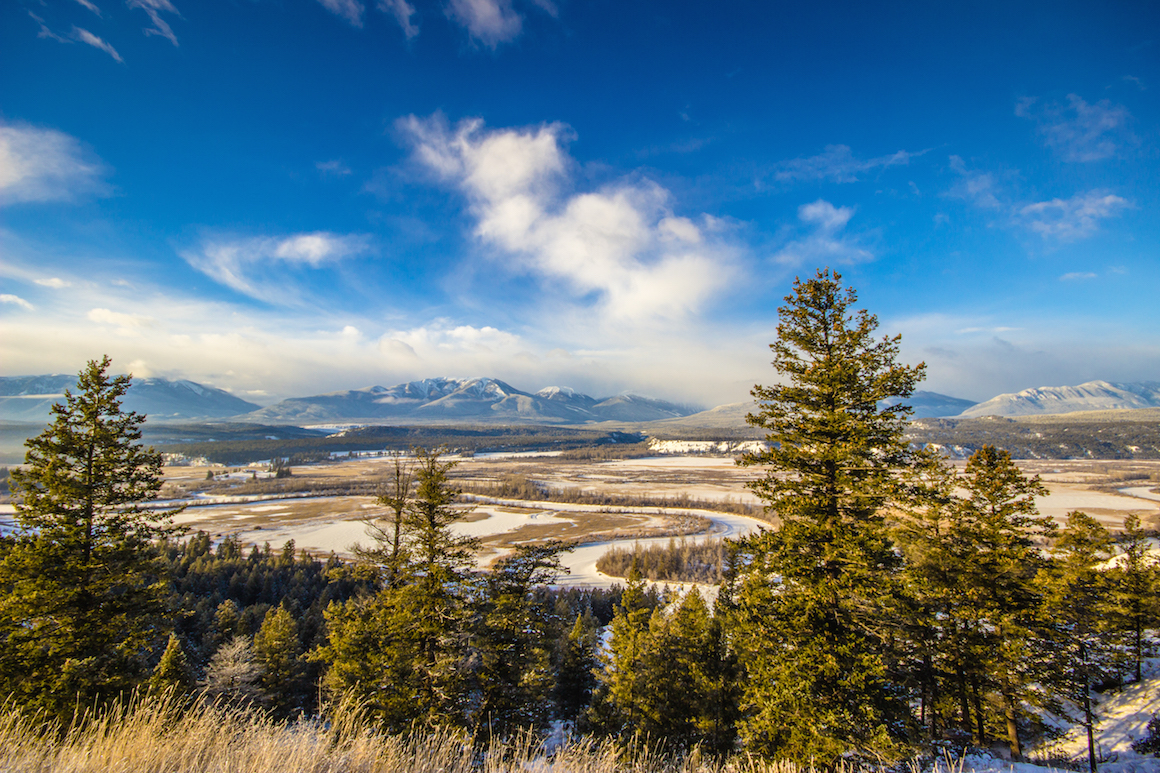 Things to do in the Columbia Valley during winter
