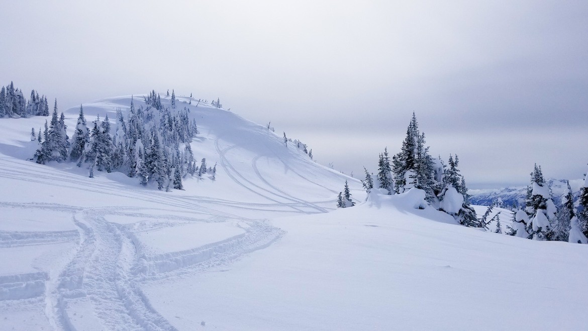 Snowmobiling in the Monashees in Revelstoke, Canada