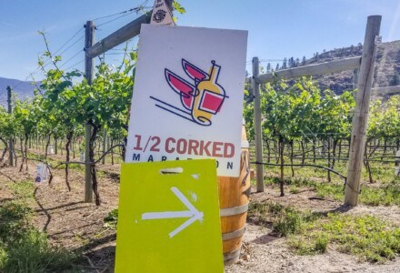 Half Corked Marathon wine run in Osoyoos, B.C.