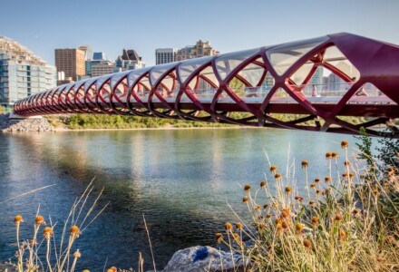 The Peace Bridge in Calgary, Alberta
