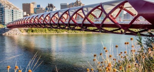 The Peace Bridge in Calgary, Alberta