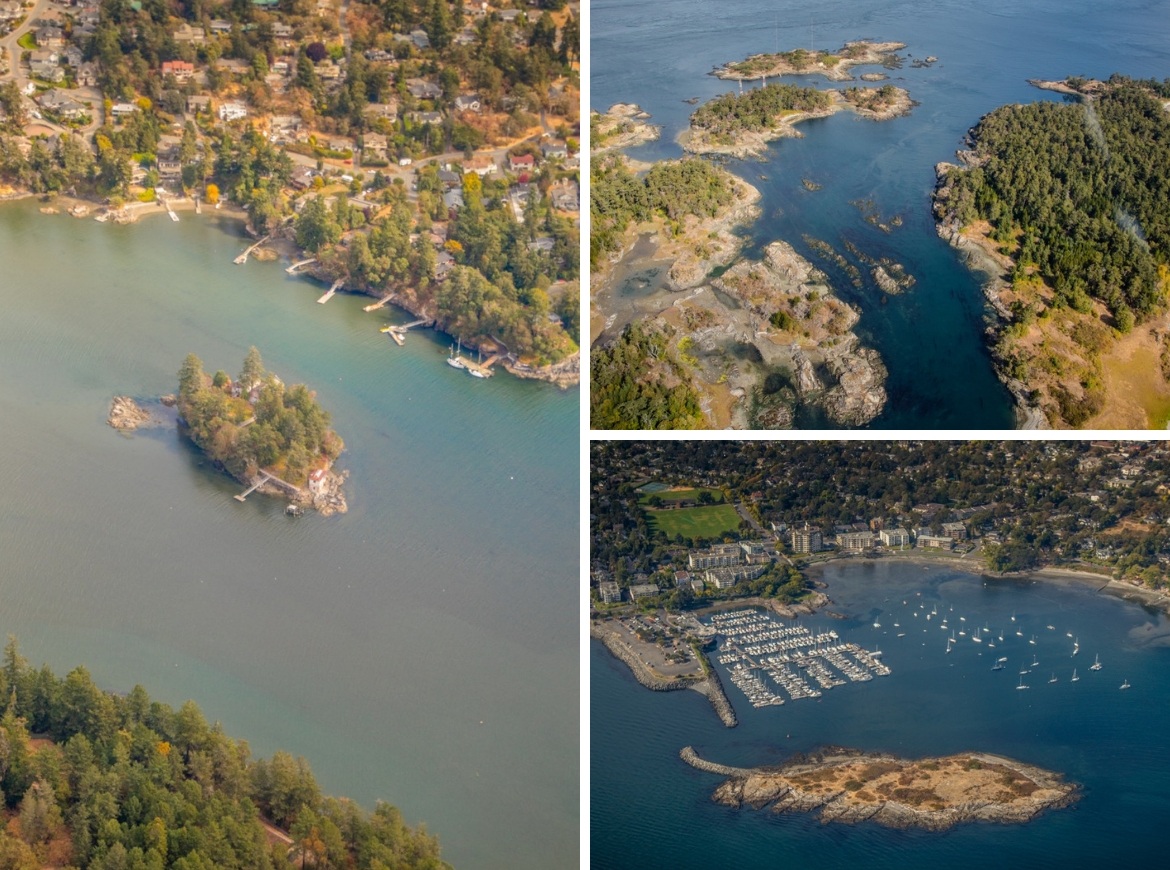 The view from a Harbour Air seaplane in Victoria, B.C.