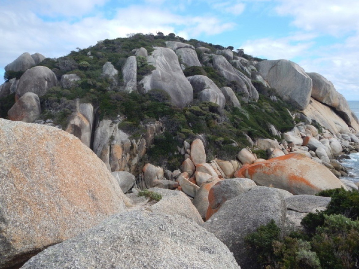 Must-see spots in Wilson's Promontory National Park, Australia