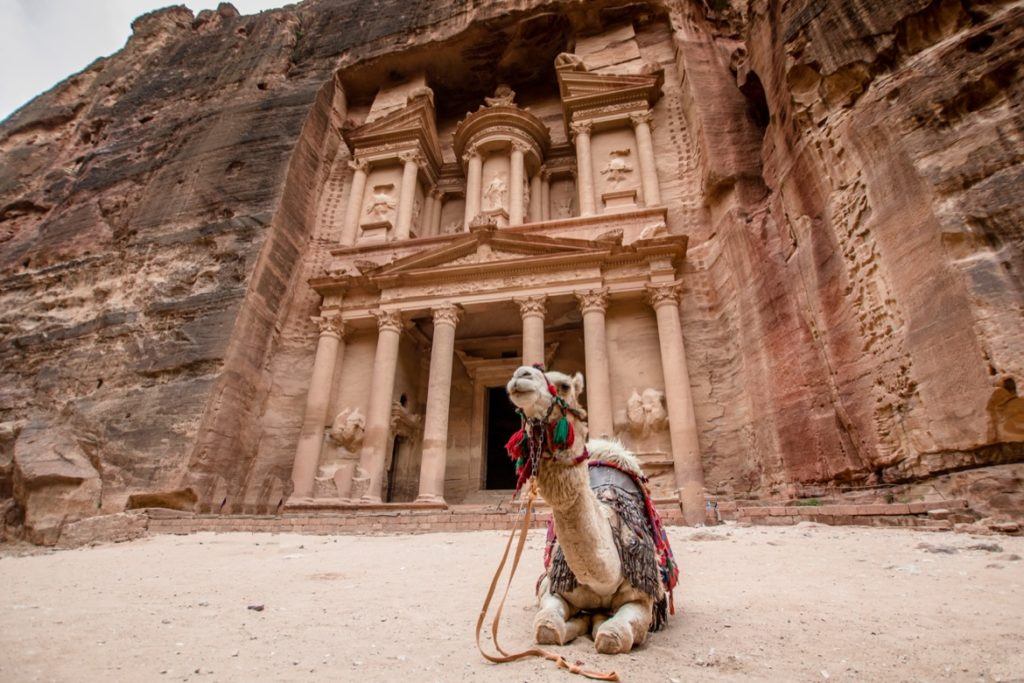 A camel in front of The Treasury in Petra, Jordan