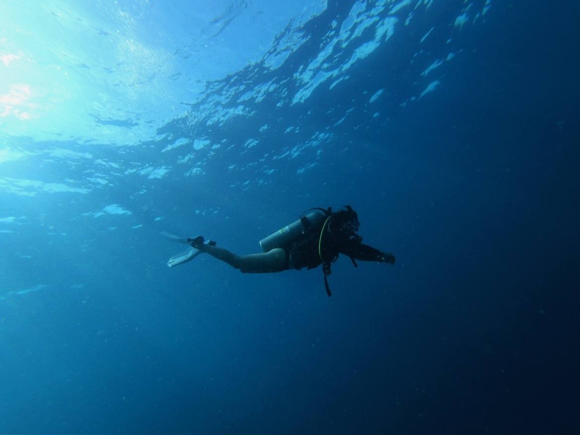 Philippines-Bohol-diving
