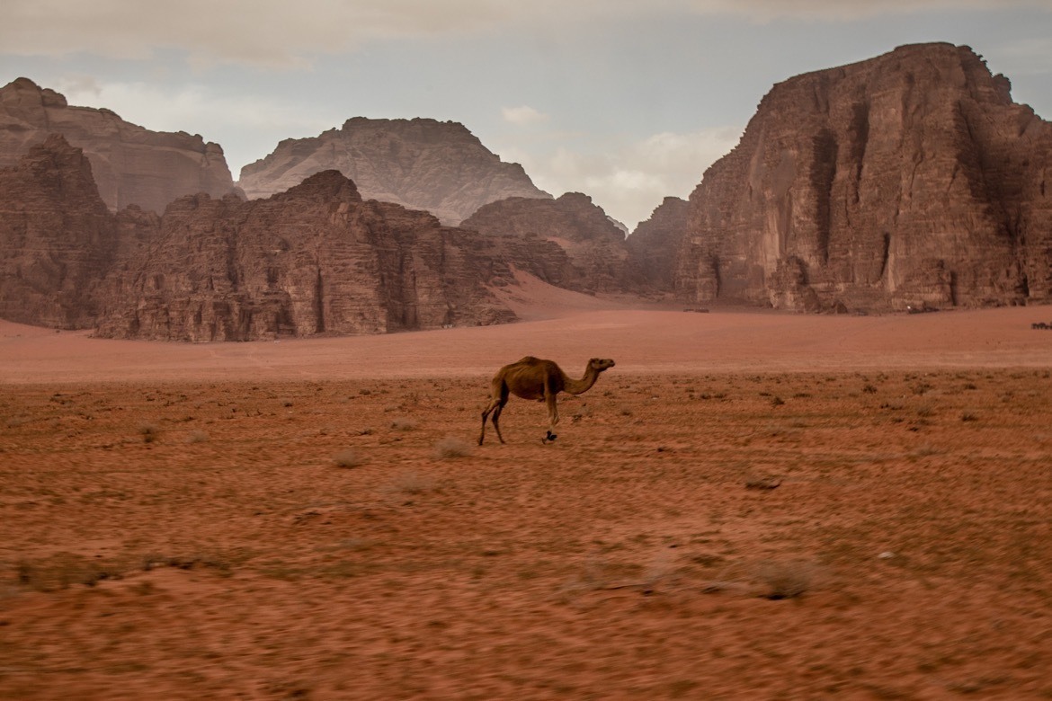 Wadi Rum is one of the best places to visit in Jordan