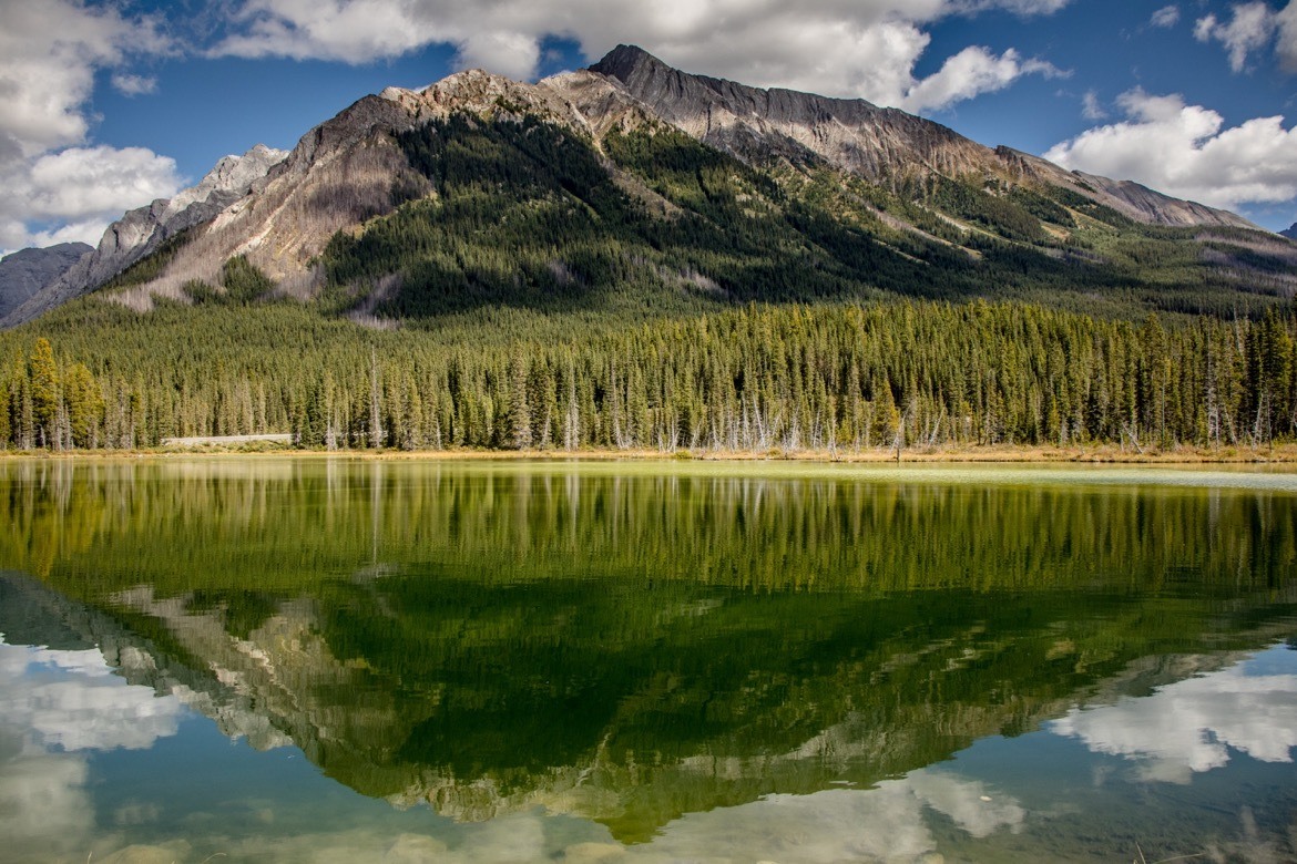 Buller Pond in Kananaskis, Alberta