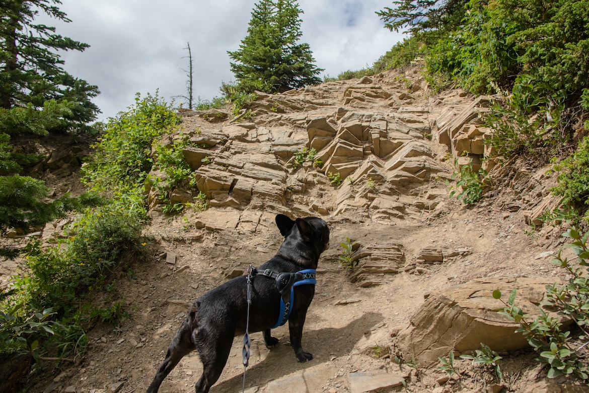 Nahahi Ridge is one of the best Kananaskis hikes