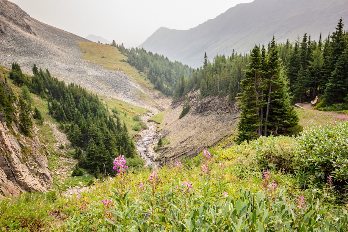 Ptarmigan Cirque is one of the best hikes in Kananaskis for families