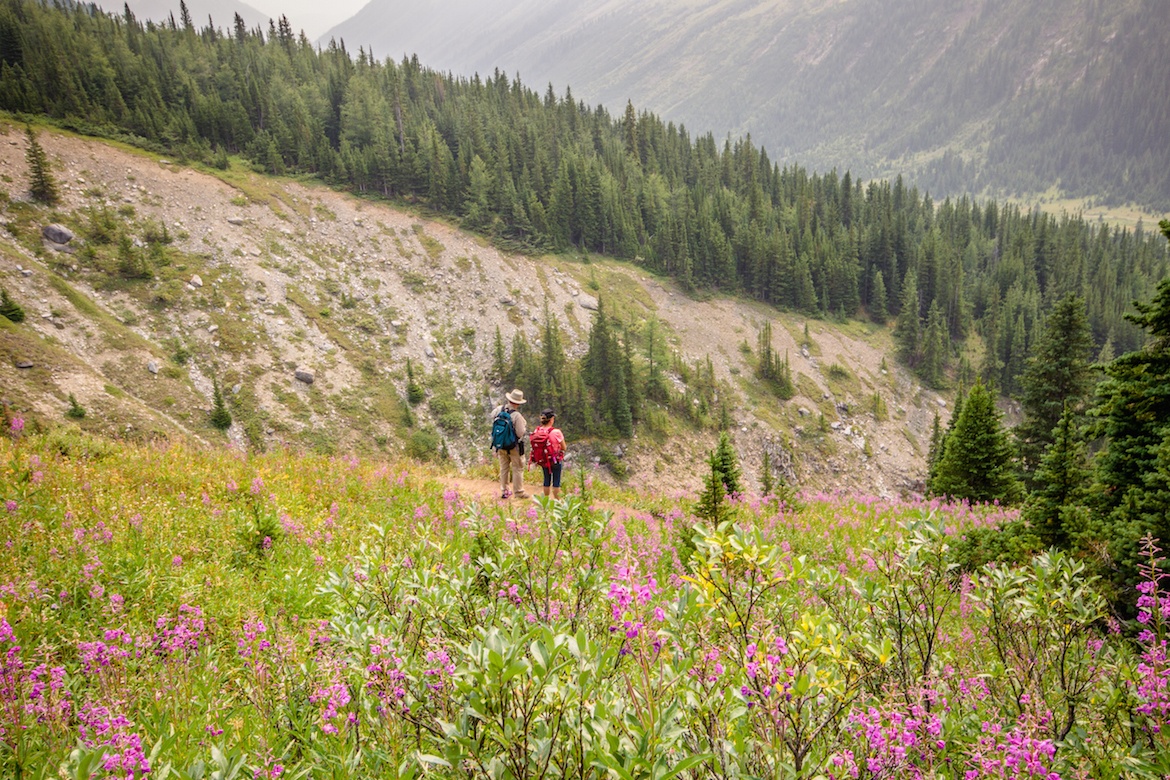 Ptarmigan Cirque is one of the best hikes in Kananaskis for families