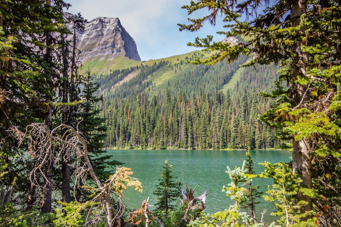 Rawson Lake is one of the best hikes in Kananaskis