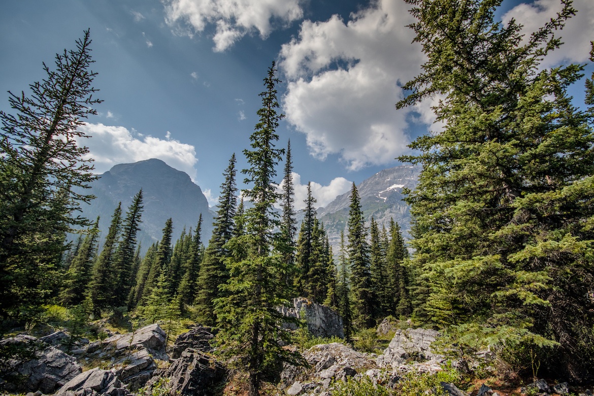 Black Prince Cirque is one of the best hikes in Kananskis