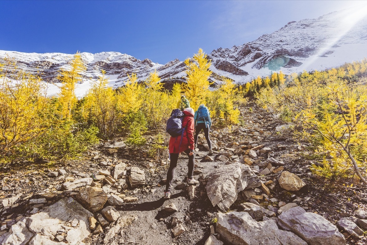 Pocaterra Ridge is of the best hikes in Kananaskis