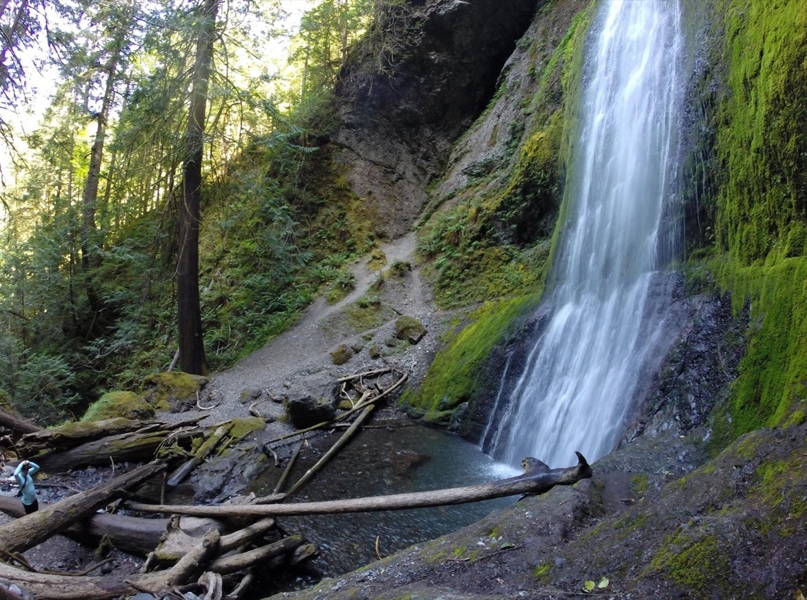 Walking to Marymere Falls is one of the best things to do in Olympic National Park
