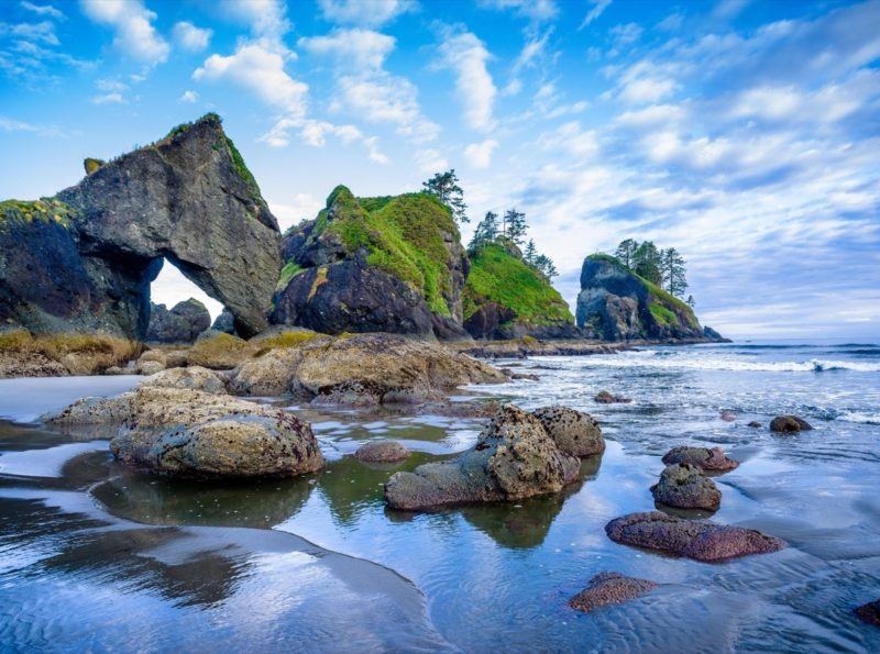 The Best Things To Do In Olympic National Park Washington The Best Things To Do In Olympic National Park Washington
