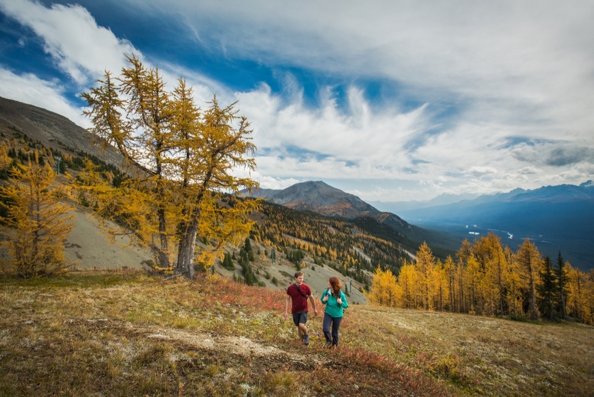 The Larch Valley hike