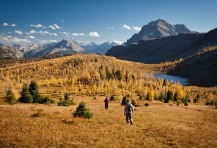 The Larch Valley hike