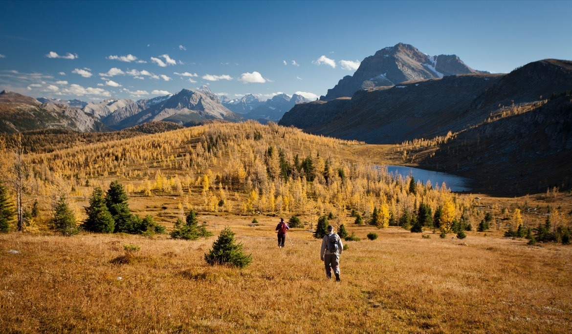 The Larch Valley hike