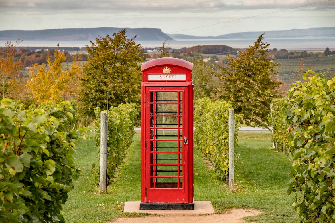 The phone booth in Luckett Vineyards