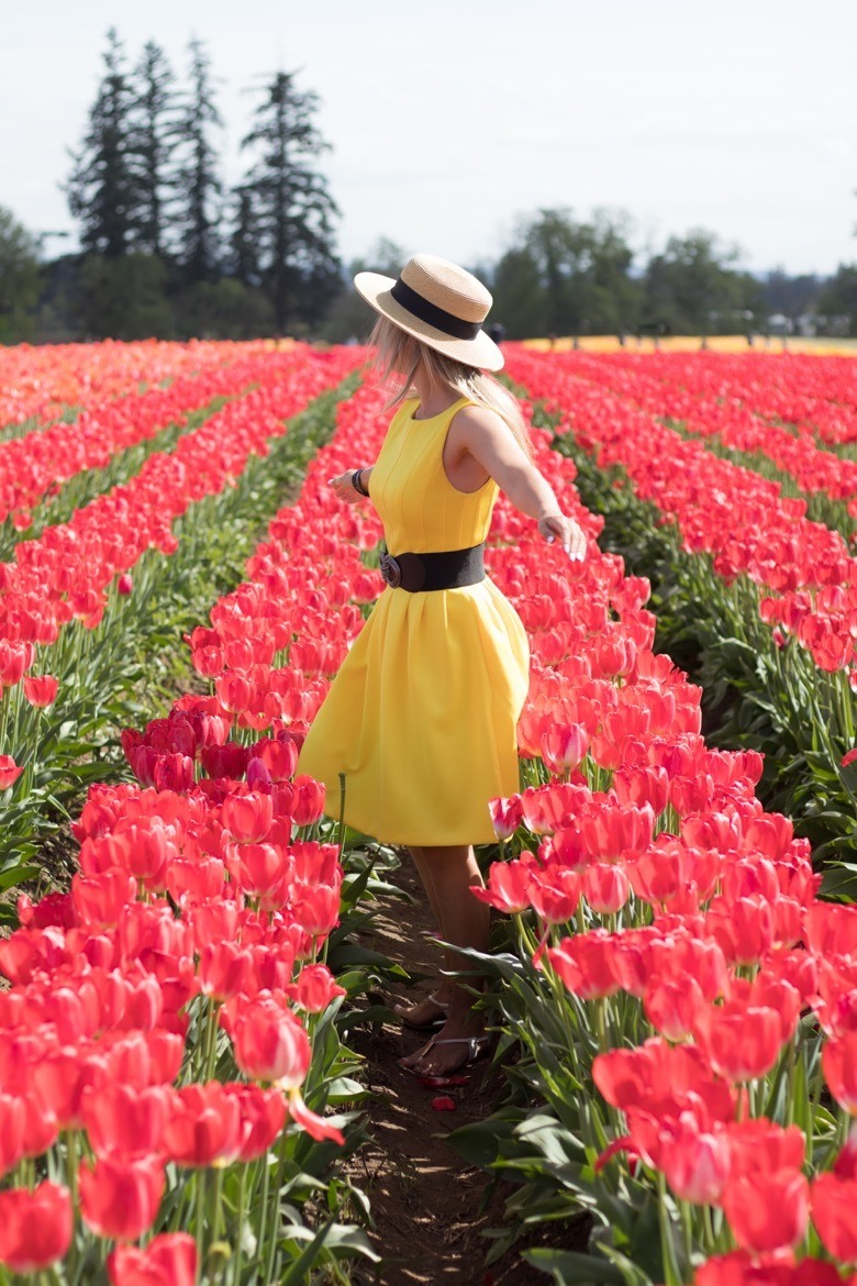 The Wooden Shoe Tulip Festival in Oregon