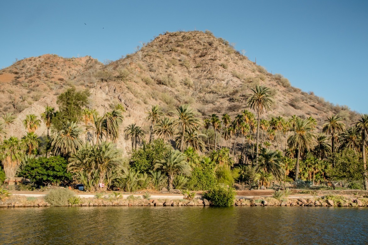 The oasis of Mulege, Mexico