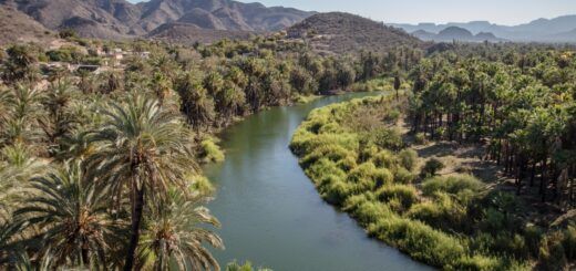 The oasis of Mulege, Mexico