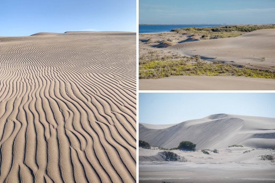 The sand dunes around Magdalena Bay near Adolfo Lopez Mateos