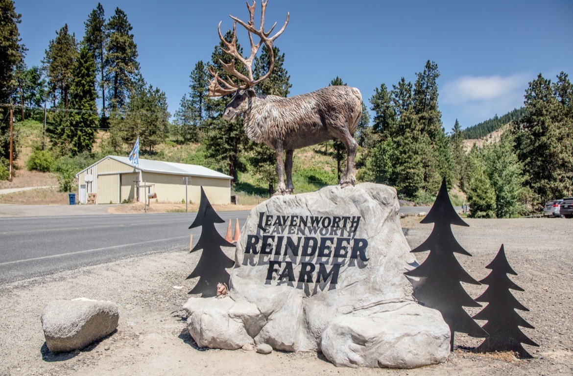 Leavenworth Reindeer Farm