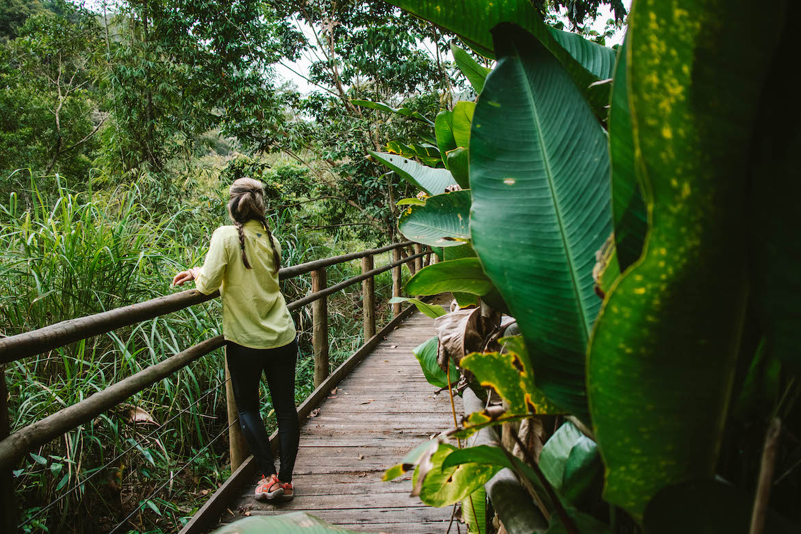 A rainforest walk at Legado das Aguas