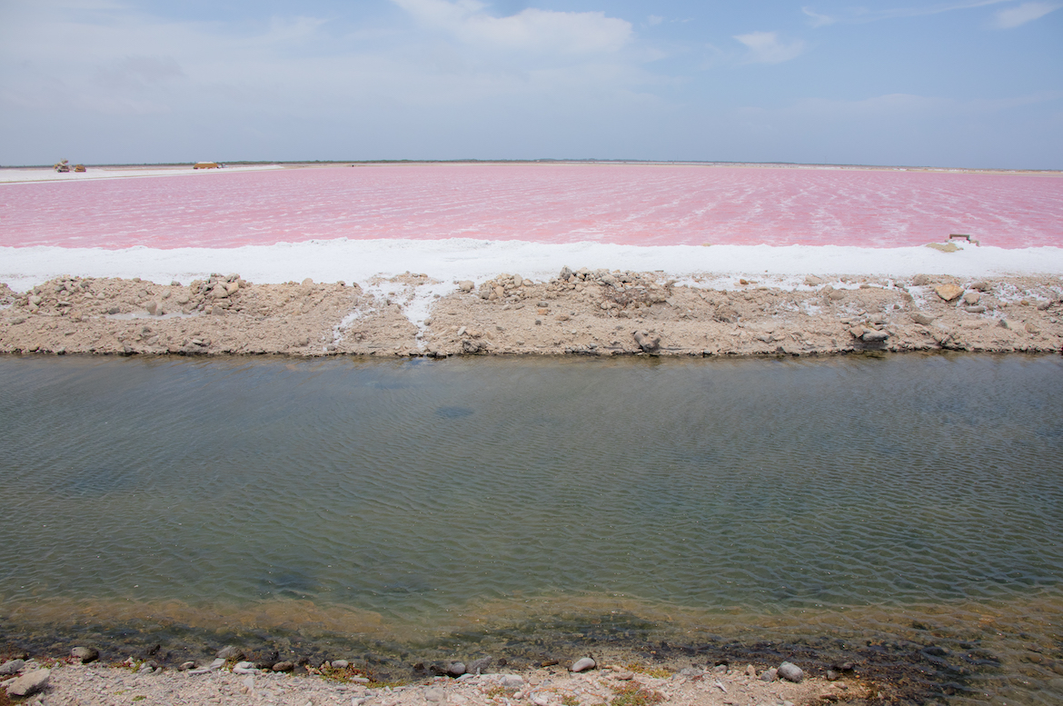 The pink lakes and salt flats in Bonaire