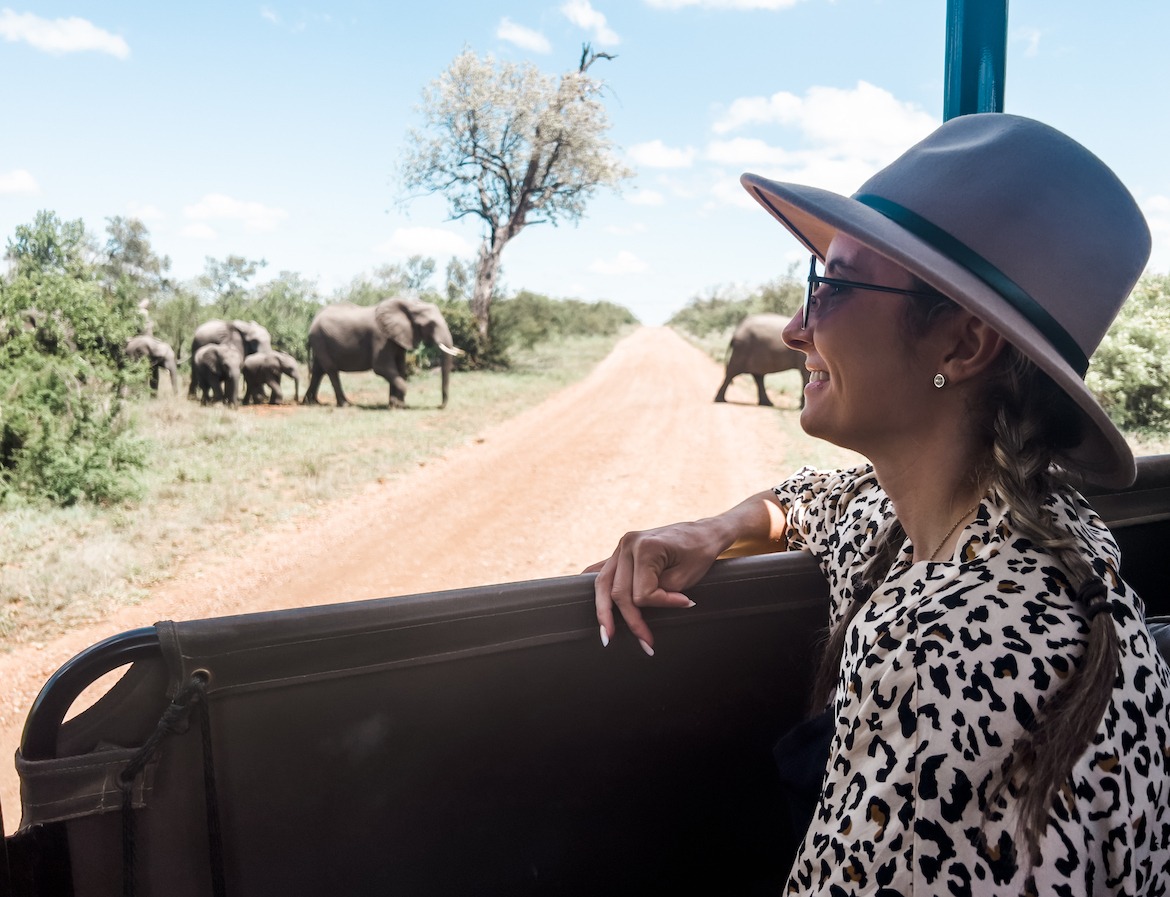 Watching elephants cross the road in Kruger National Park, South Africa