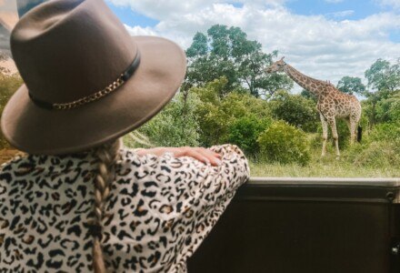 A giraffe in Kruger National Park, South Africa