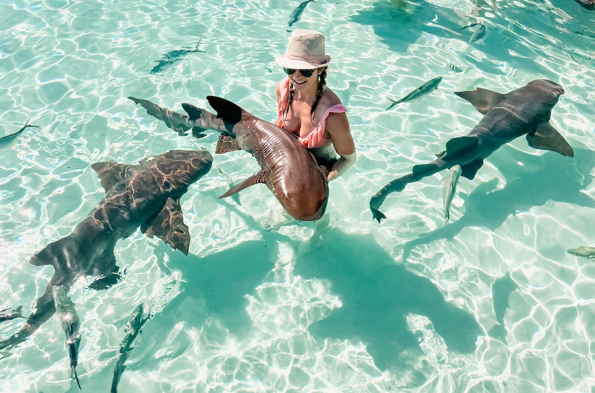 Swimming with sharks in the Exumas, Bahamas